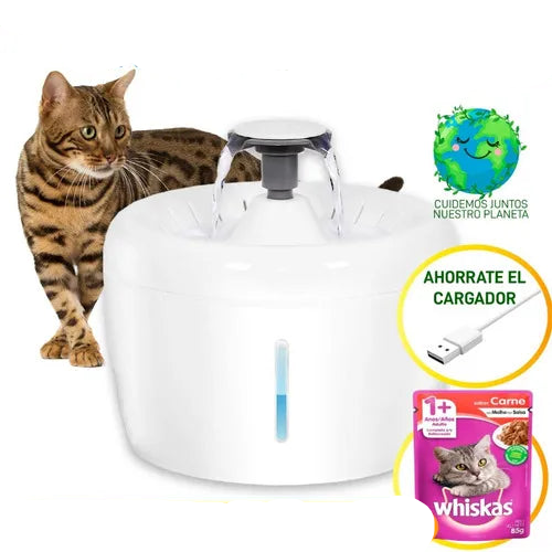 DISPENSADOR DE AGUA PARA MASCOTA